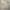 بوفيه بتصميم كلاسيكي