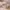 سرير أطفال بطابقين مع زحليقة بتصميم إسكندنافي