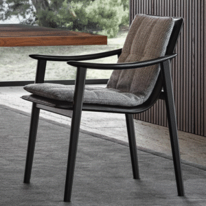 كرسي طعام انيق