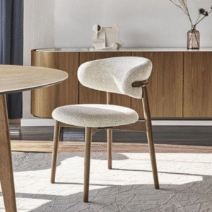 كرسي طعام مودرن