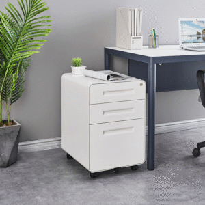 وحدة تخزين مكتب بسيطة